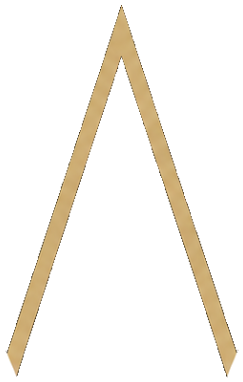 Of Venice Ventures monogram